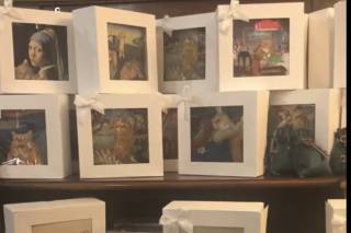 Canvas Creation Lab - 1