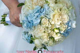 Ivan Natilla Fotografo - 11