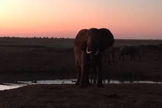 Le Clou dei Viaggi - 7