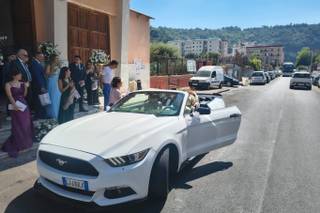 Autonoleggio Vergara Autosposa - 9