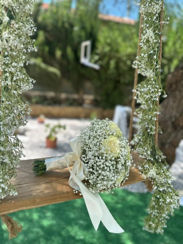 Placida Gambuto Event Creator - 2