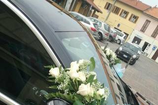 Autonoleggio Amodeo - 6