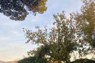 Casale La Torretta - 9