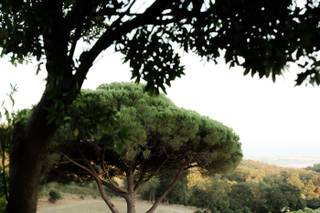 Castello del Sasso - 5