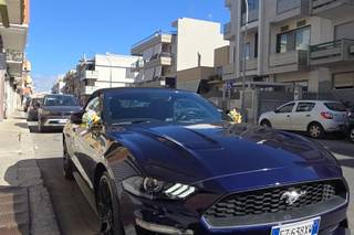 Mustang Experience - 5
