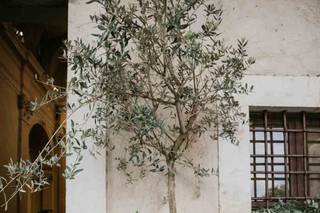 Pauline Wedding&Events - 24