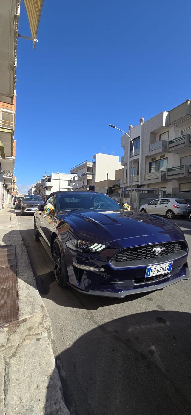 Mustang Experience - 2