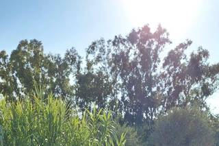 Alberto Auto d'Epoca e Maggiolone - 13