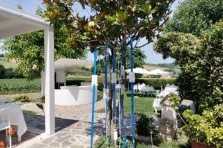 Ristorante Le Noci - 17