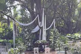 Decor Wedding - 5