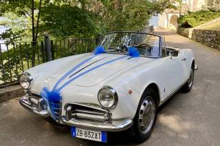 Le Auto di Magnolia - 18