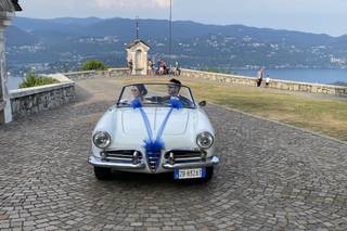 Le Auto di Magnolia - 19