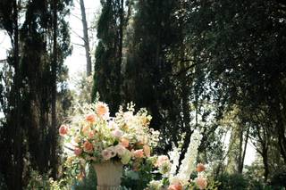 Carla Home & Flowers - 5