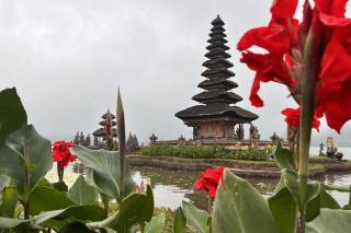 Davide Dabbene - Consulente CartOrange - 8