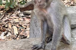 Davide Dabbene - Consulente CartOrange - 9