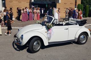 Auto per Eventi - Delorean, Herbie & Maggiolino - 46