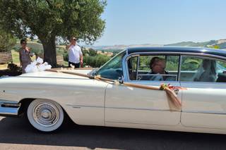 Privilegio - Decapottabile Ford T- Bird Roadster 63 - Cadillac 59 - 5