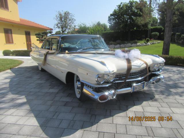Privilegio - Decapottabile Ford T- Bird Roadster 63 - Cadillac 59 - 1