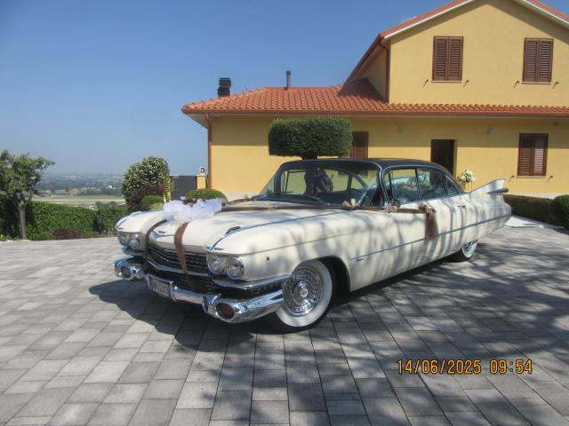 Privilegio - Decapottabile Ford T- Bird Roadster 63 - Cadillac 59 - 3