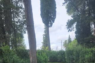 Ristorante Il Battibecco - 17