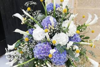 Casa del Fiore Nachira - 15