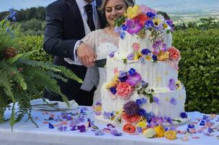 Morandi Fotografia - 9