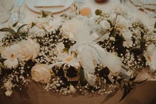 Il Seme di Mazza Rita Angelo & C. - 6