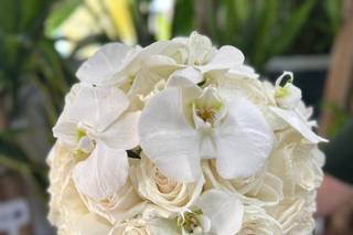 Vitale Fiori - 8