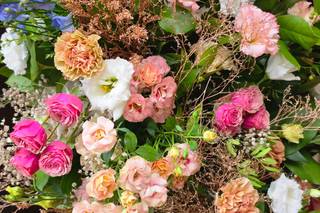 Gardenia di Paola Montanari - 15