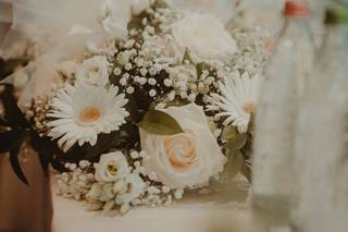 Il Seme di Mazza Rita Angelo & C. - 8