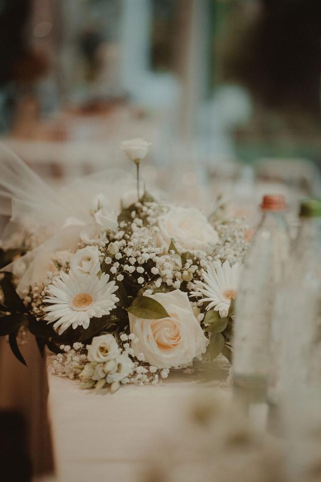 Il Seme di Mazza Rita Angelo & C. - 3