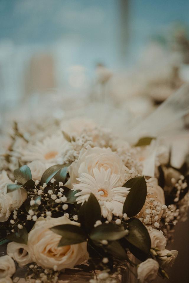 Il Seme di Mazza Rita Angelo & C. - 4