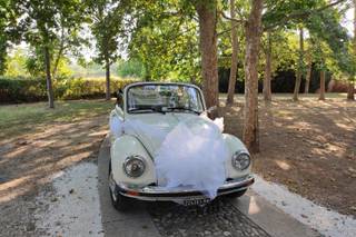 Maggiolone Cabrio Per Matrimoni - 13