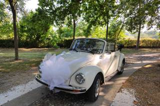 Maggiolone Cabrio Per Matrimoni - 14