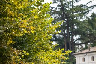 Marco Priarollo Photographer - 6