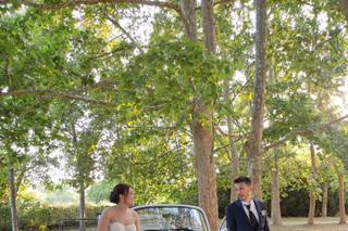 Maggiolone Cabrio Per Matrimoni - 15