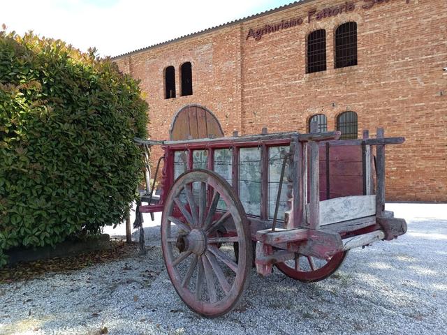 Fattoria Settepassi - 4