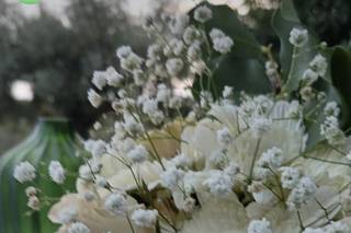 Borgo degli Ulivi - 16