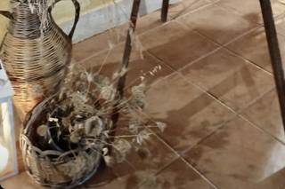 Borgo degli Ulivi - 17