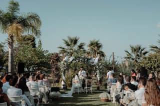 D'Agostino Antonino Piante&Fiori - 16