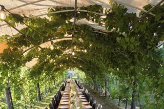 Cantina degli Abissi - 5