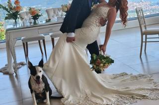 JL Dog Sitter for wedding - 10