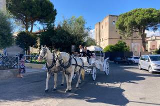 Scuderia Angilletti - 9