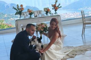 JL Dog Sitter for wedding - 11
