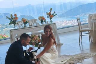 JL Dog Sitter for wedding - 12