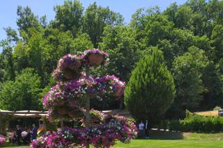 Agriturismo Divino Amore - 13