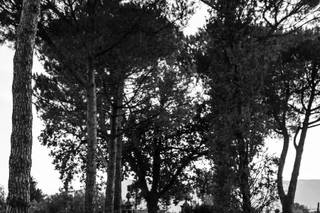 Sposauto Vintage - 9