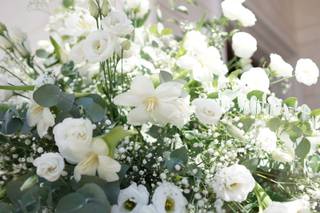 Arteflor Fiori e Piante di Tesoro Vito - 10
