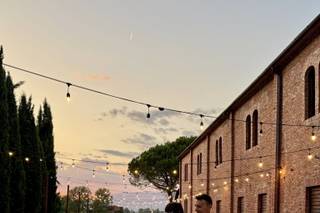 Fattoria Settepassi - 8
