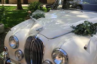 Il tuo Matrimonio da Star - 28